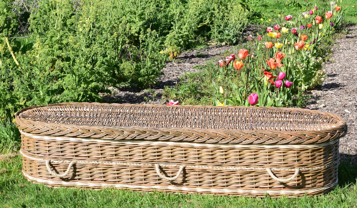 Handwoven willow coffin in Pembrokeshire